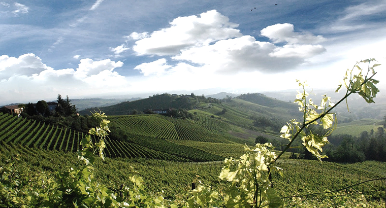 Colline_astigiane