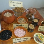 foto-progetto-storia-12